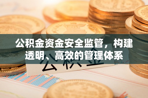 福州公积金资金安全监管，构建透明、高效的管理体系