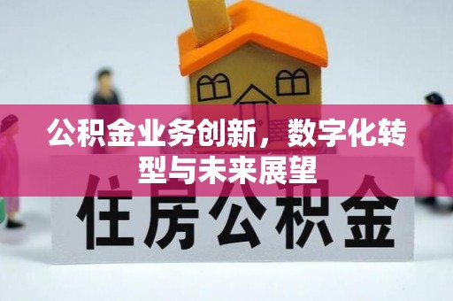 福州公积金业务创新，数字化转型与未来展望