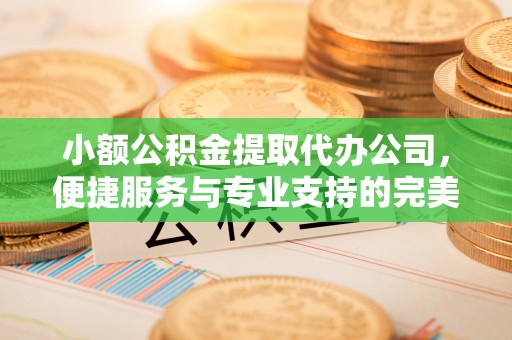 福州小额公积金提取代办公司，便捷服务与专业支持的完美结合