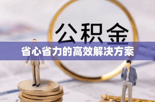 福州省心省力的高效解决方案