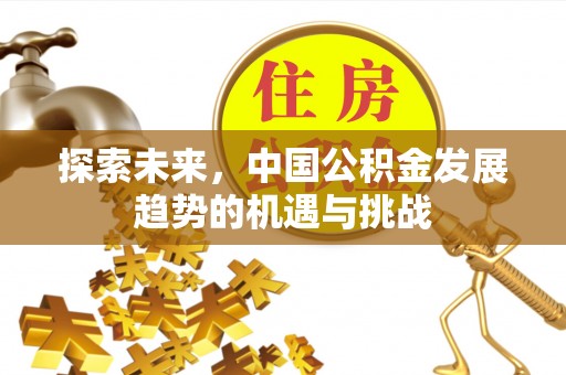 福州探索未来，中国公积金发展趋势的机遇与挑战