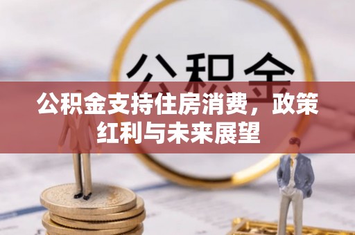 福州公积金支持住房消费，政策红利与未来展望