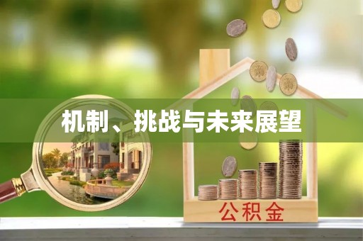 福州机制、挑战与未来展望